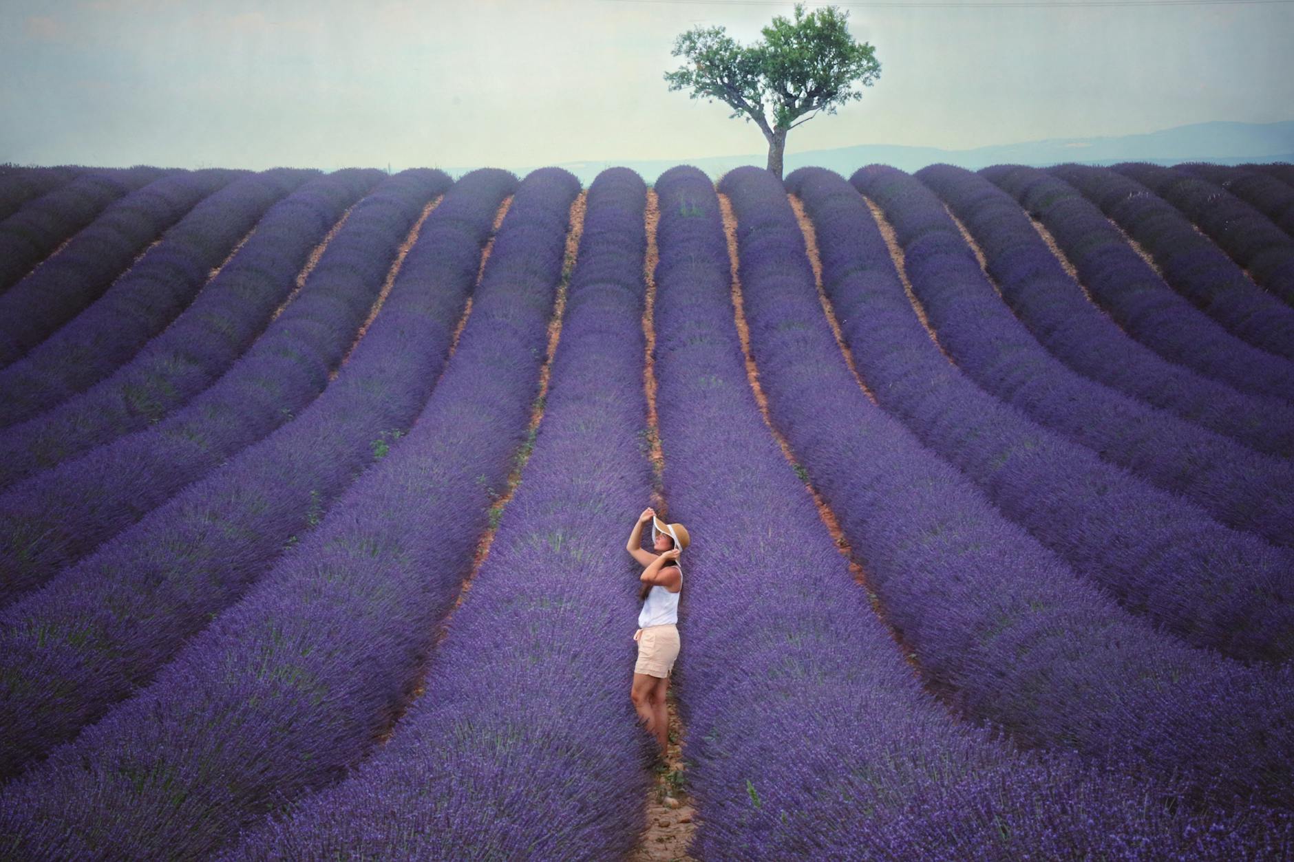 woman standing between violet crops
